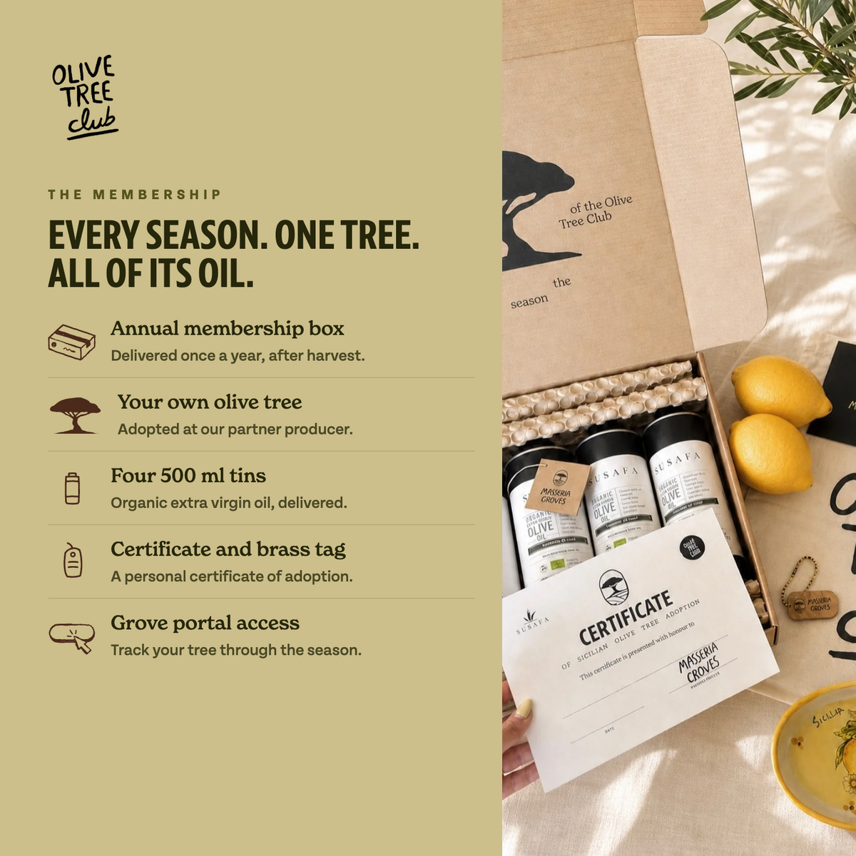 Olive Tree Club — Annual Membership