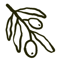 Follow Your Tree’s Journey