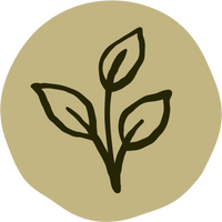 Herbaceous